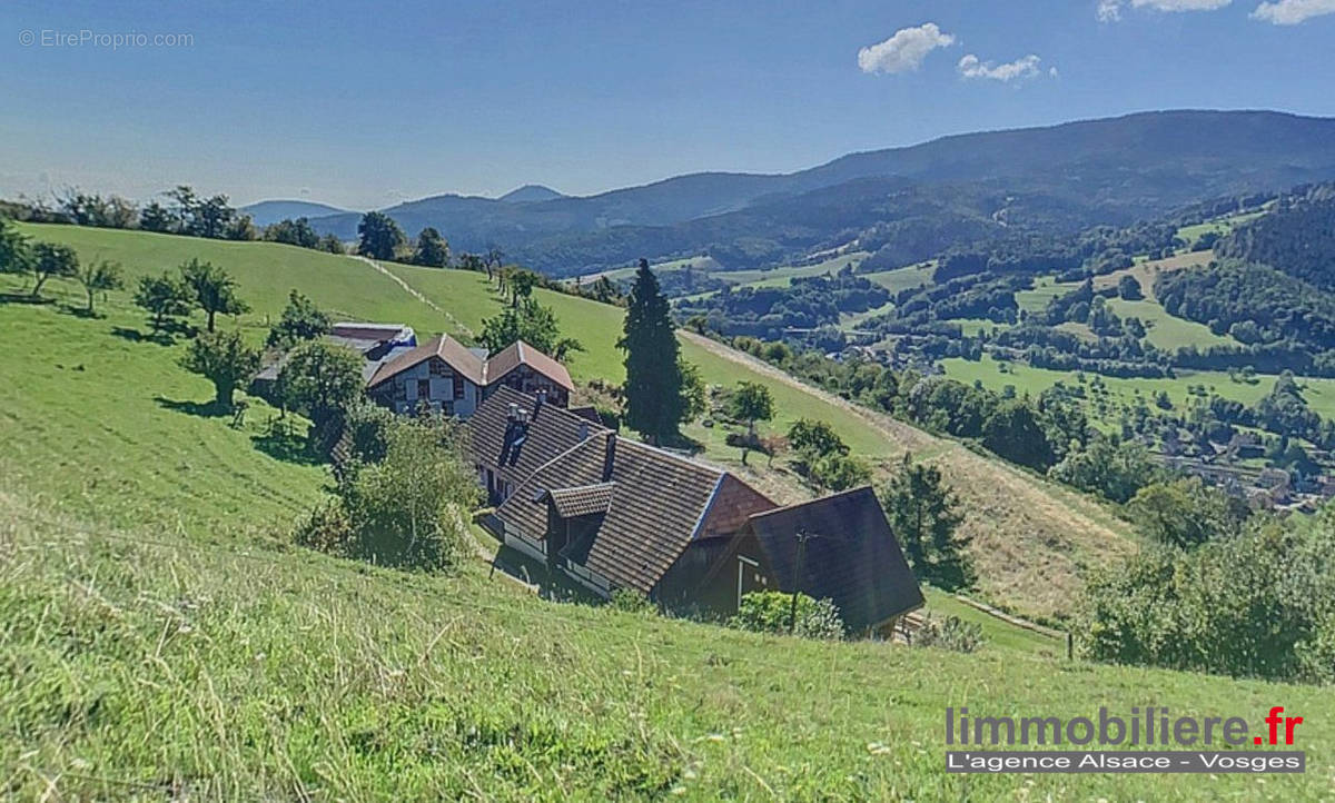 Maison à RIBEAUVILLE