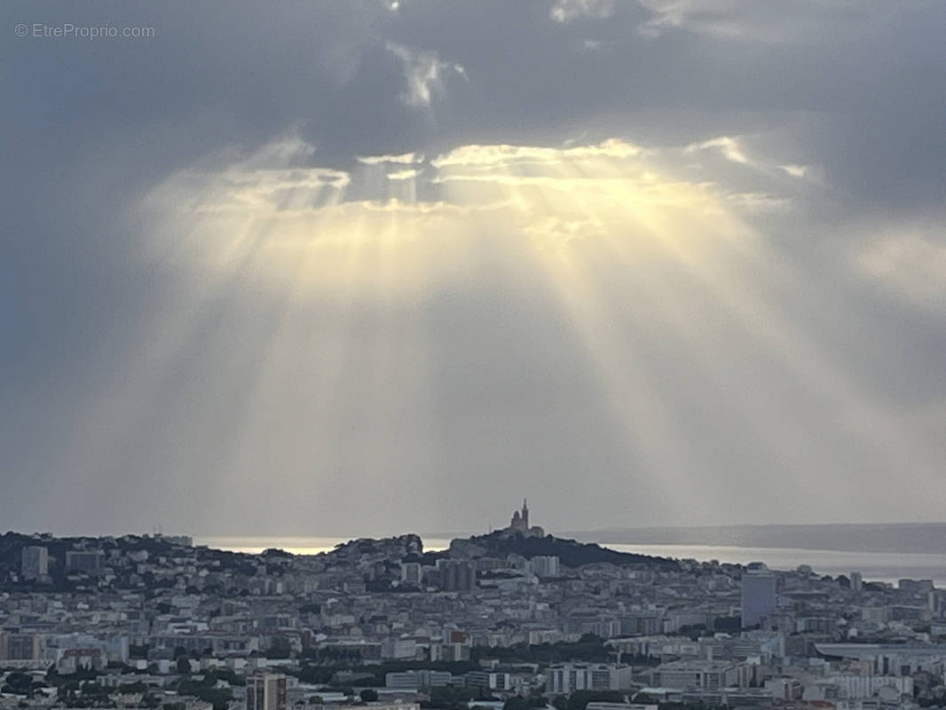 Commerce à MARSEILLE-10E