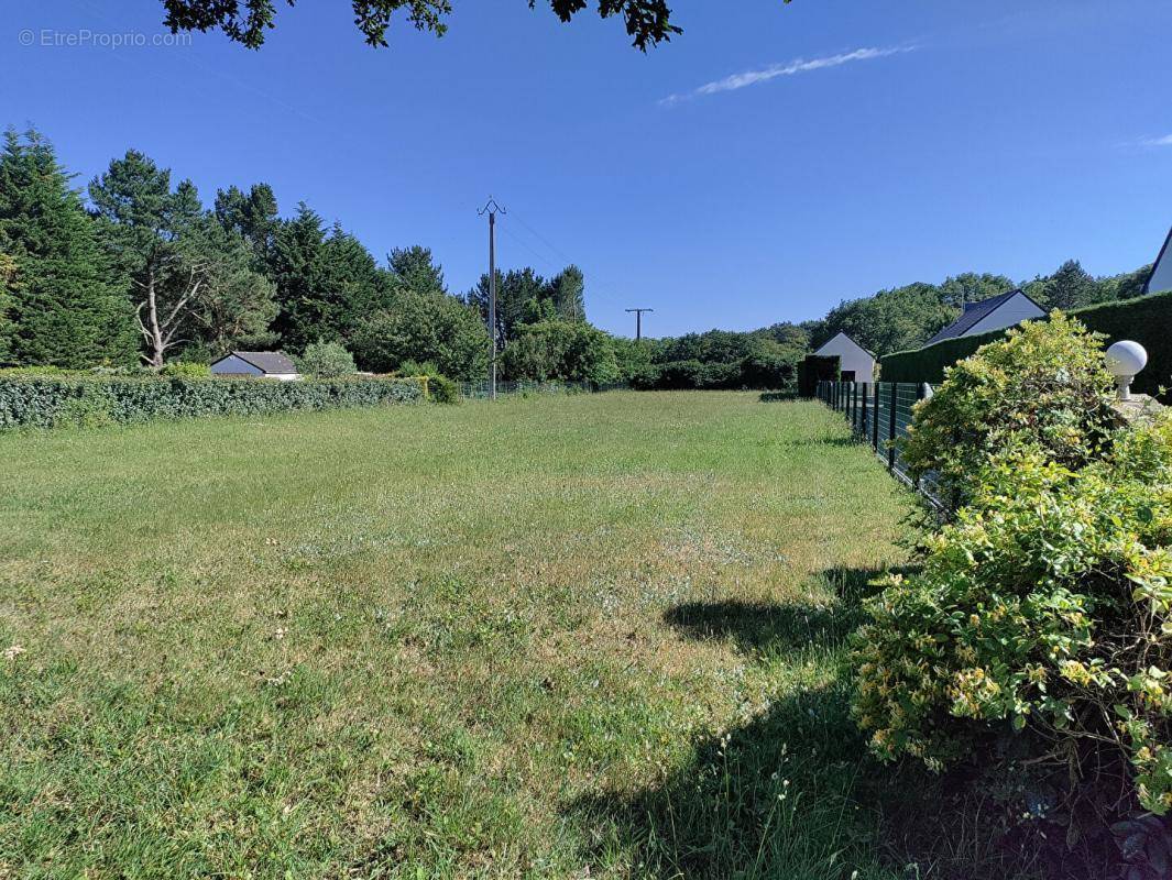 Terrain à GUERANDE