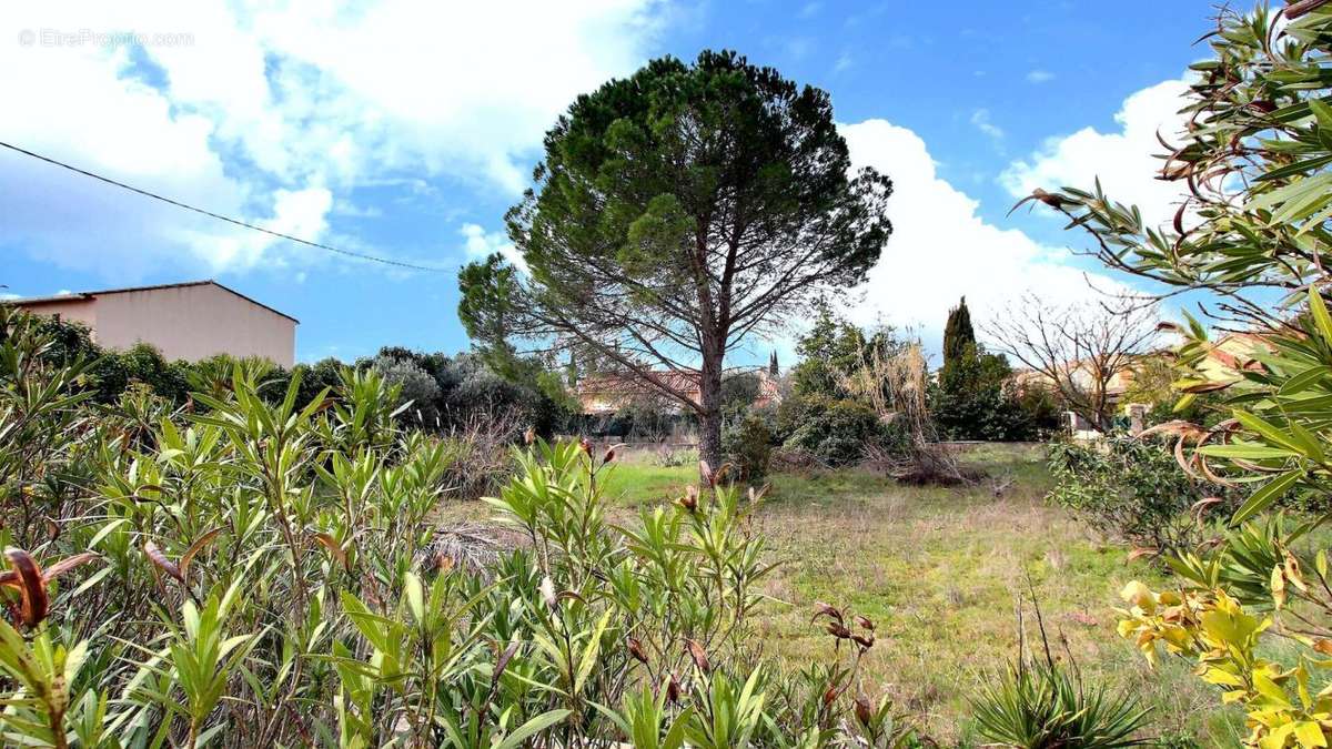 Terrain à LE CANNET-DES-MAURES