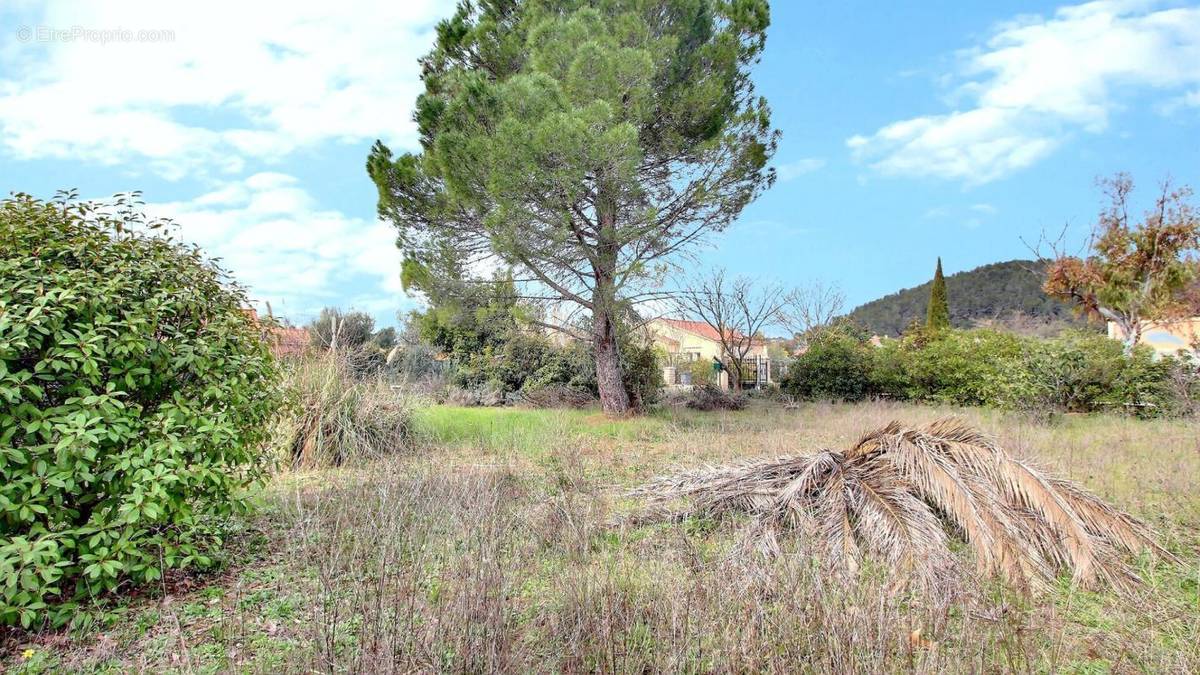 Terrain à LE CANNET-DES-MAURES