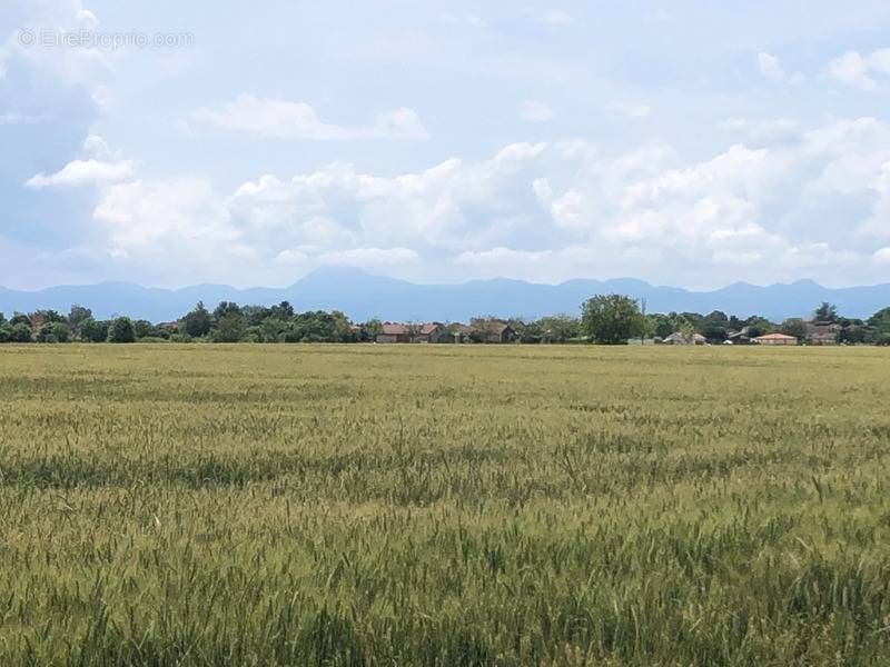 Terrain à MARINGUES