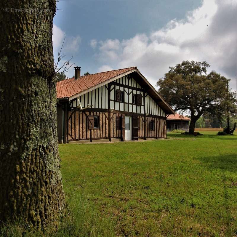 Maison à CASTETS