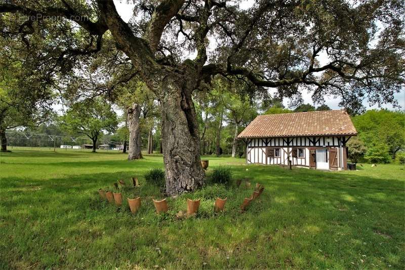 Maison à CASTETS