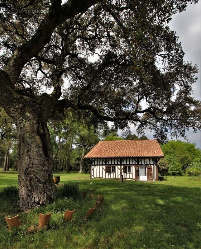 Maison à CASTETS