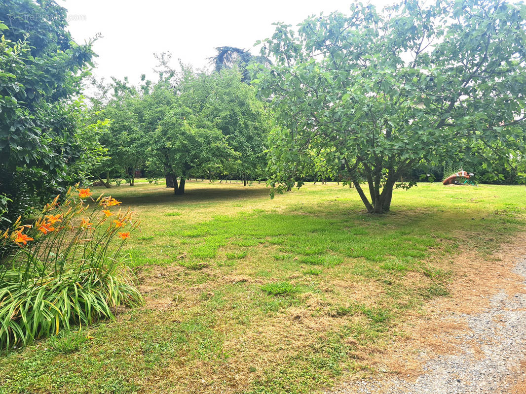 Terrain à LEZAT-SUR-LEZE