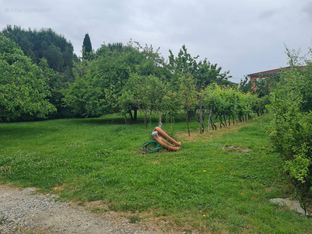 Terrain à LEZAT-SUR-LEZE