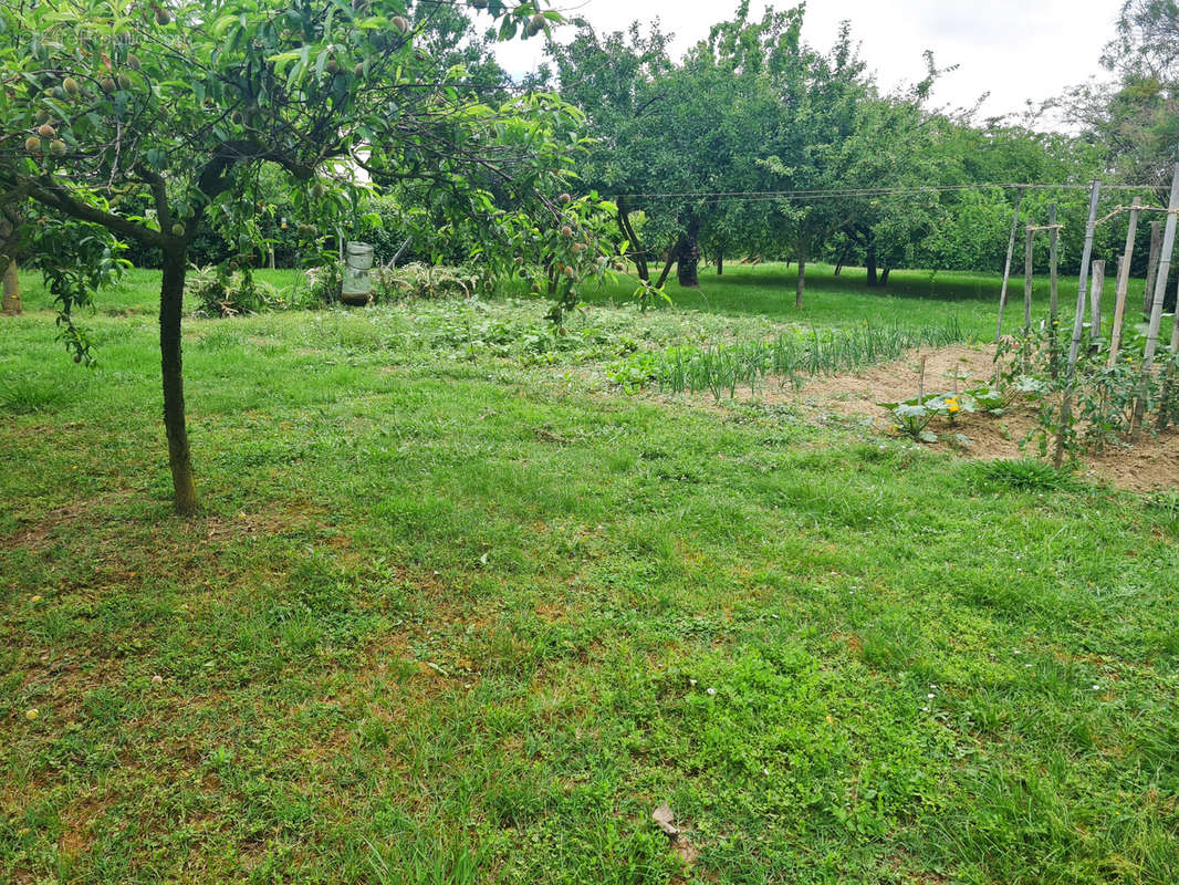 Terrain à LEZAT-SUR-LEZE