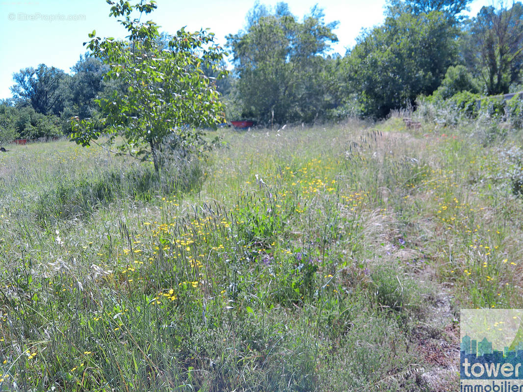 Terrain à LE POUJOL-SUR-ORB