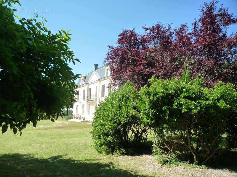 Maison à COGNAC