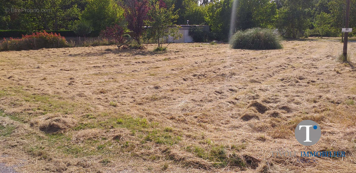 Terrain à SAINT-VIVIEN-DE-MEDOC