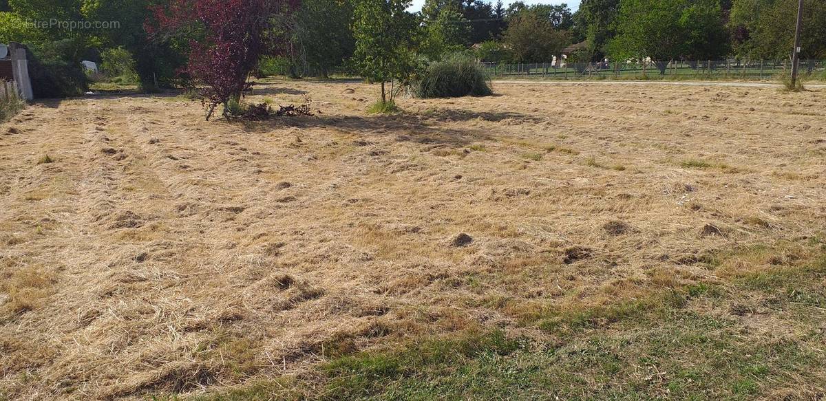 Terrain à SAINT-VIVIEN-DE-MEDOC