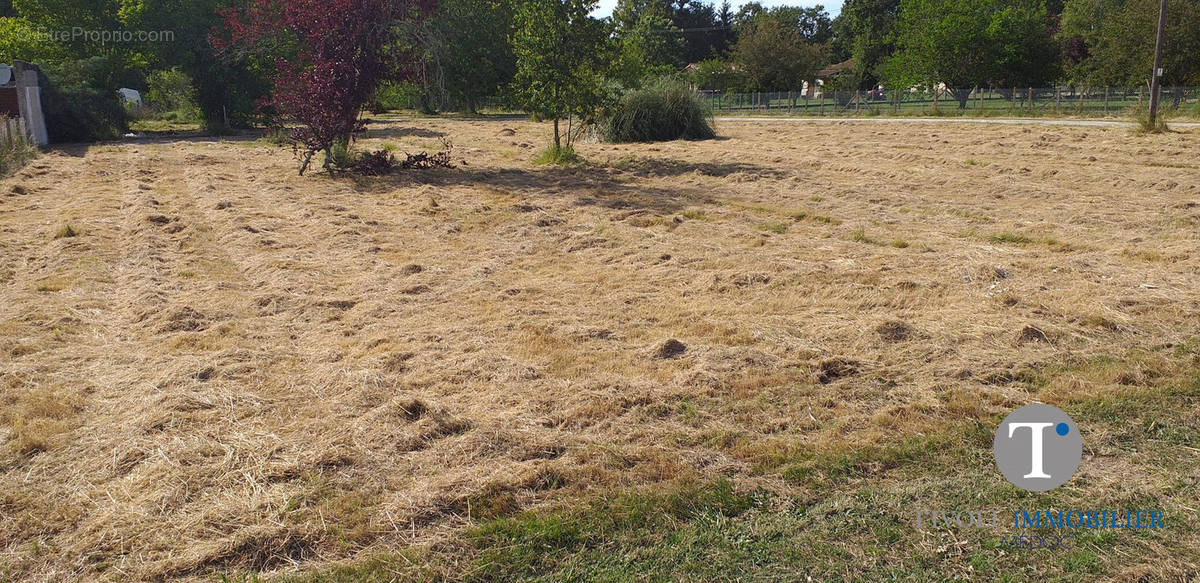 Terrain à SAINT-VIVIEN-DE-MEDOC