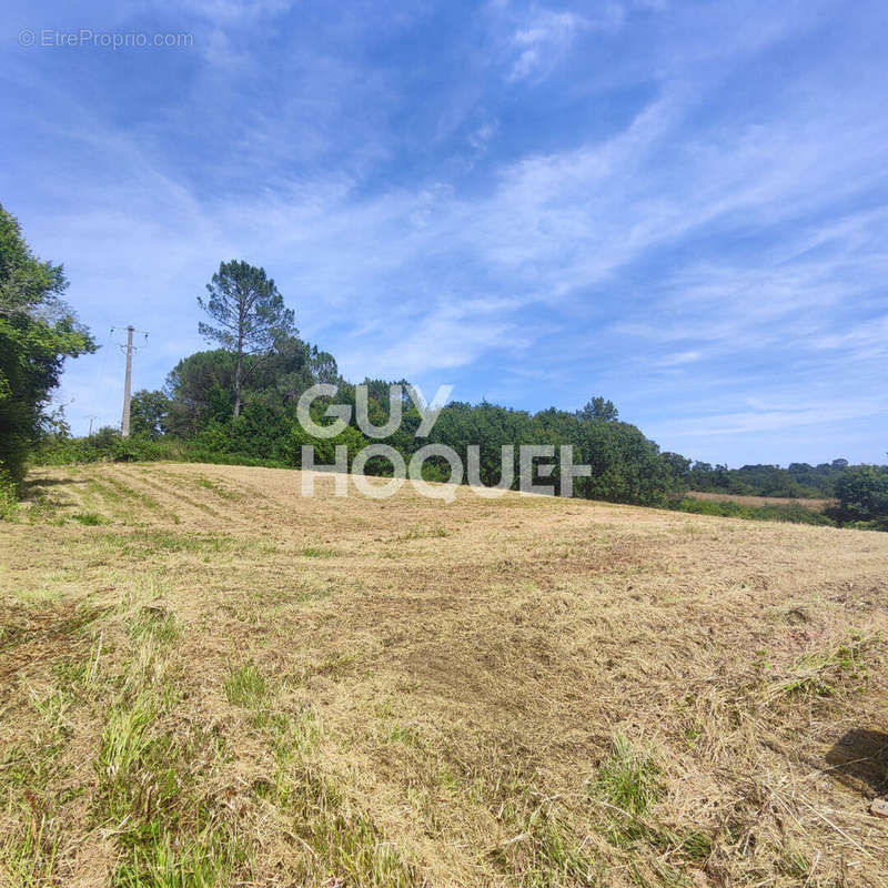 Terrain à GRENADE-SUR-L&#039;ADOUR