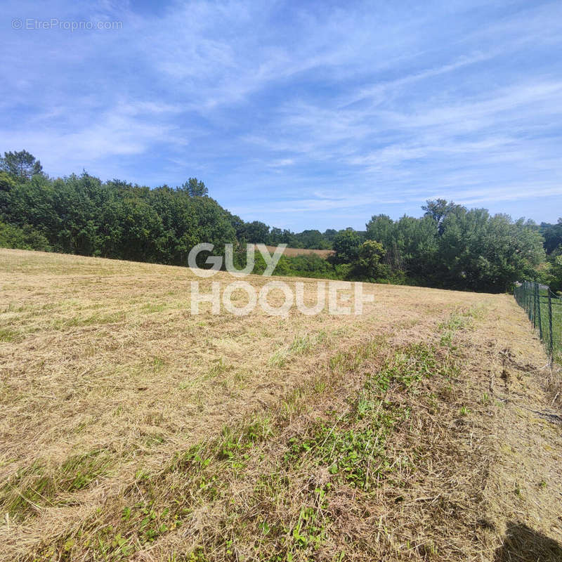 Terrain à GRENADE-SUR-L&#039;ADOUR