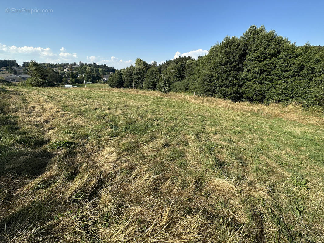 Terrain à MAZET-SAINT-VOY