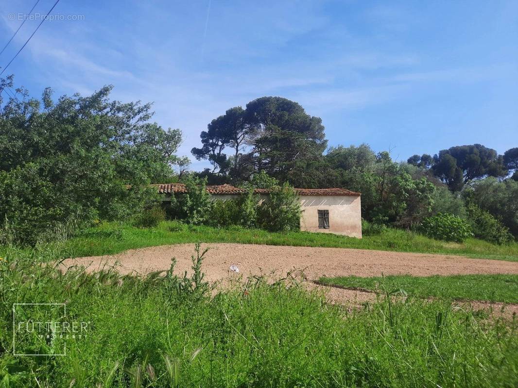 Maison à MOUSSAN