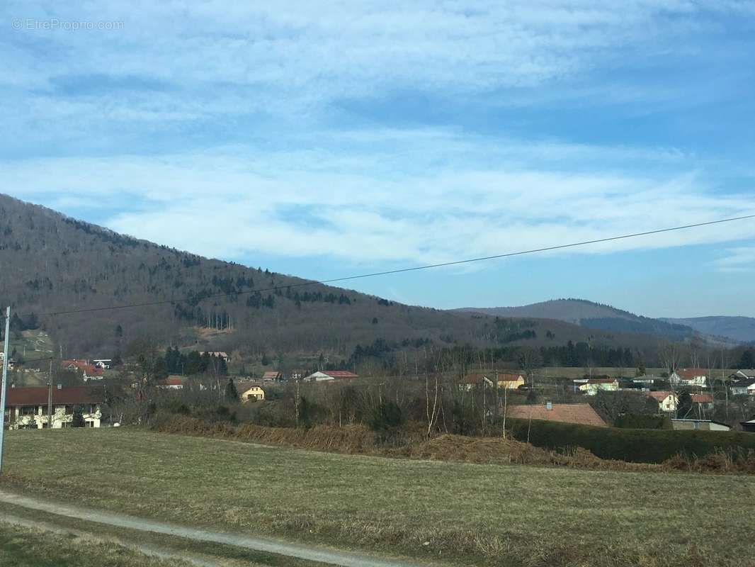 Terrain à PETITMAGNY