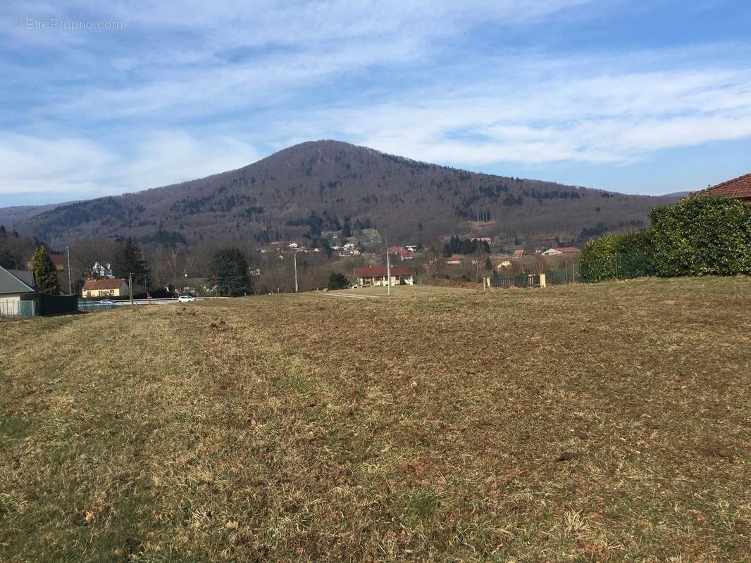 Terrain à PETITMAGNY