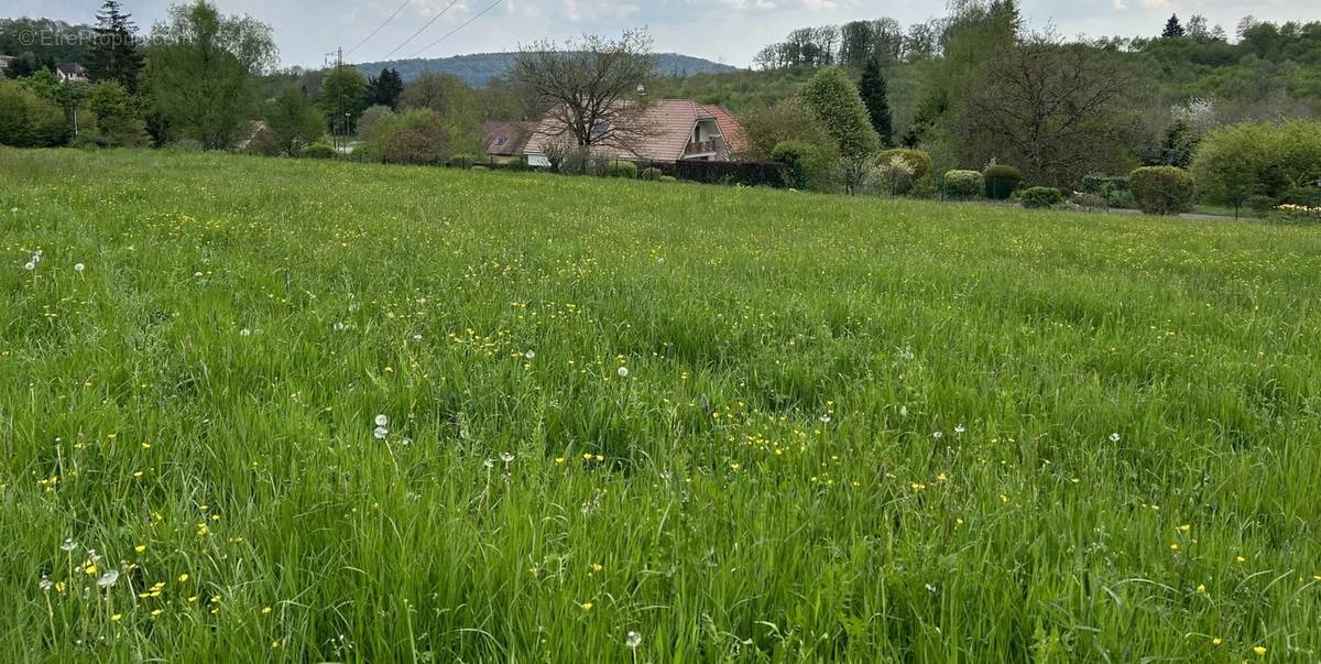 Terrain à EVETTE-SALBERT