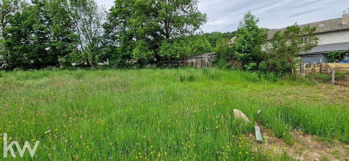 Terrain à SAINT-JULIEN-CHAPTEUIL