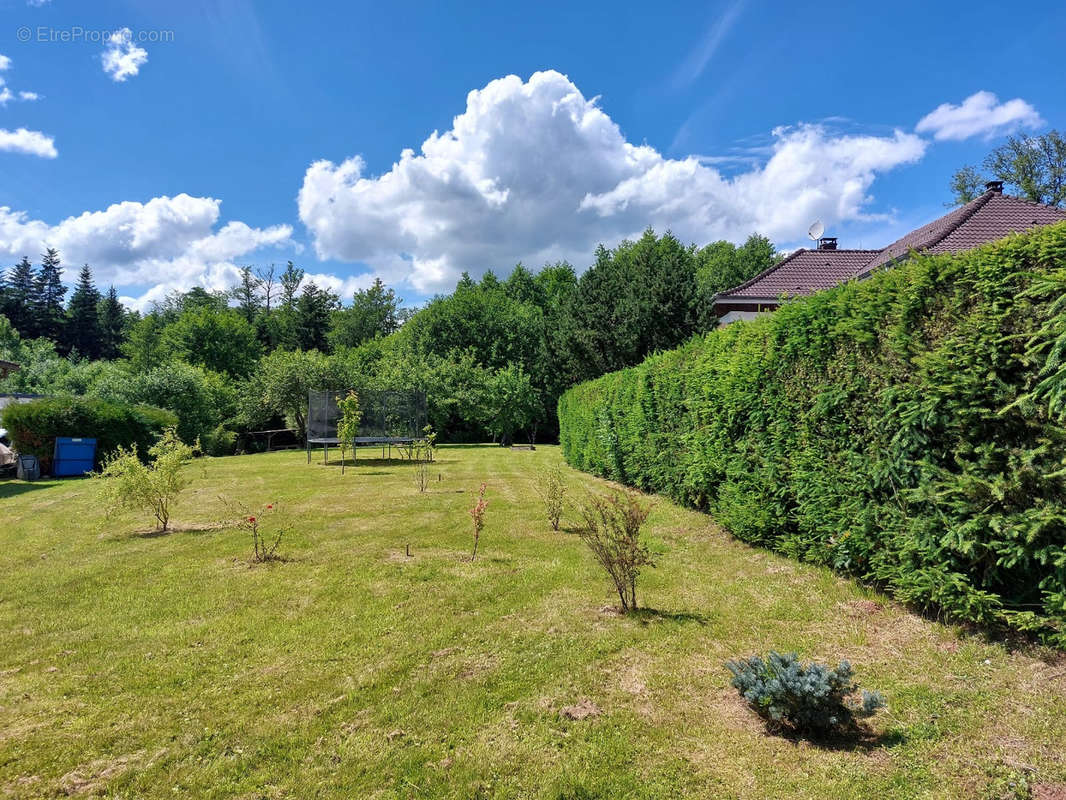 Terrain à SAINT-DIE-DES-VOSGES