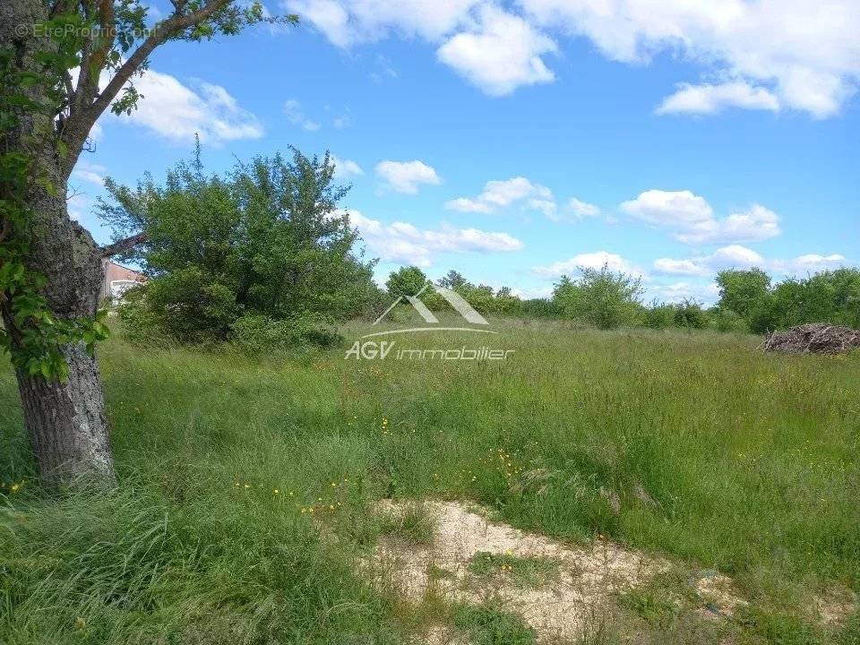 Terrain à ALLEGRE-LES-FUMADES