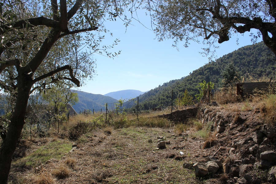 Terrain à UTELLE