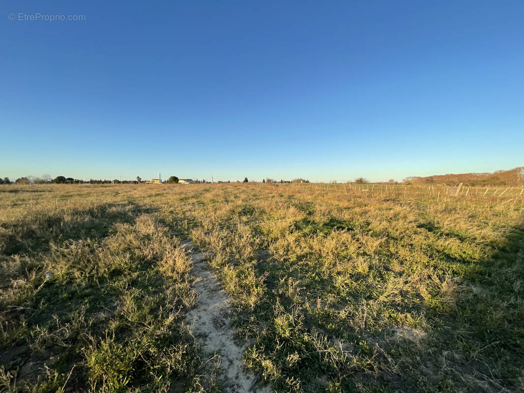 Terrain à LE CAILAR