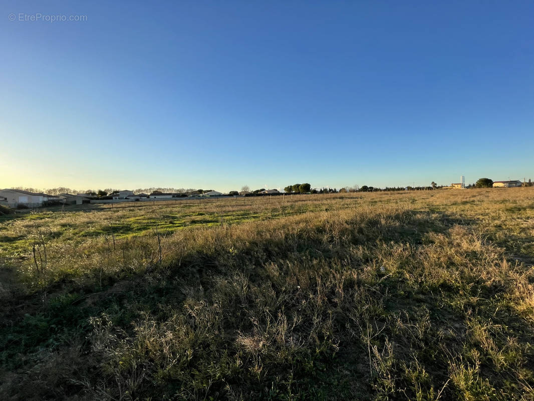 Terrain à GALLARGUES-LE-MONTUEUX