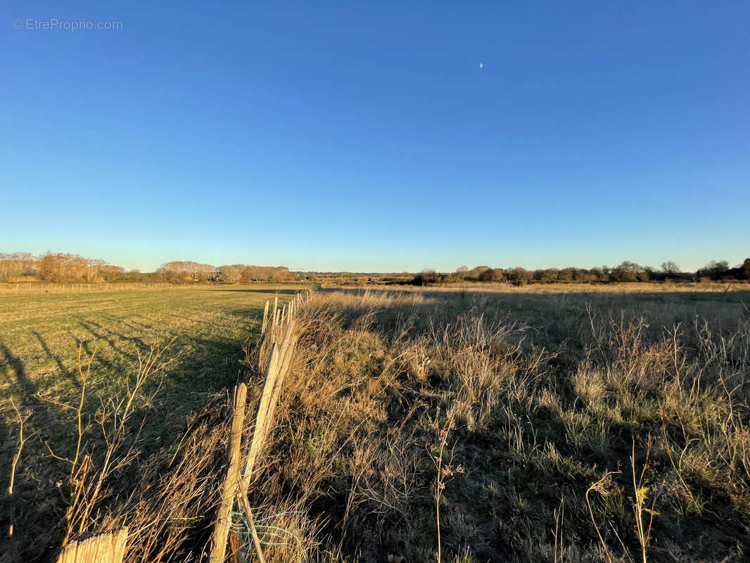 Terrain à AIMARGUES