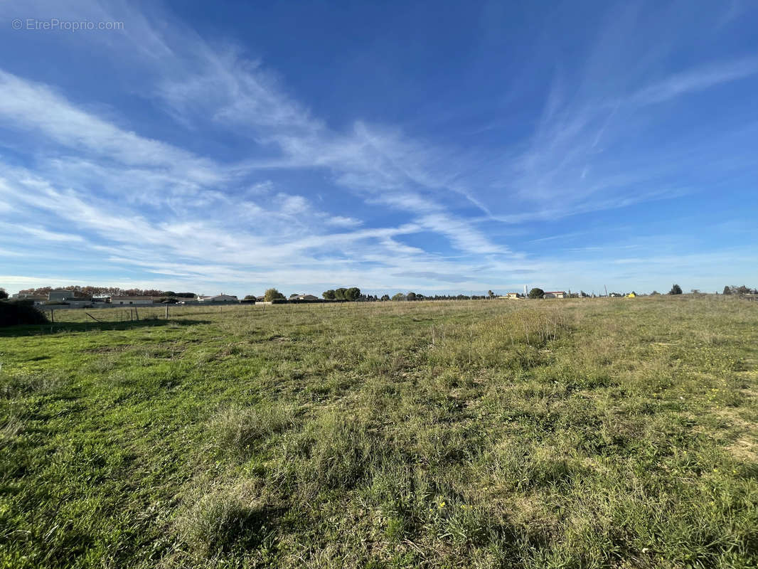 Terrain à AIMARGUES