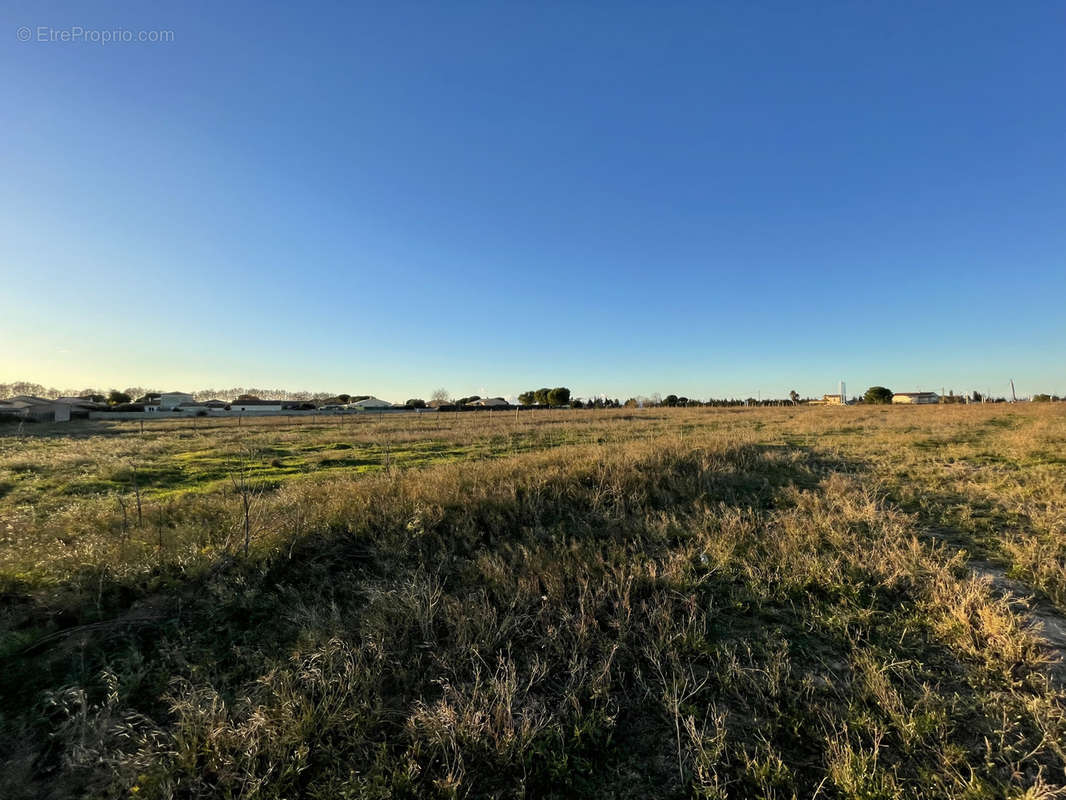 Terrain à AIMARGUES