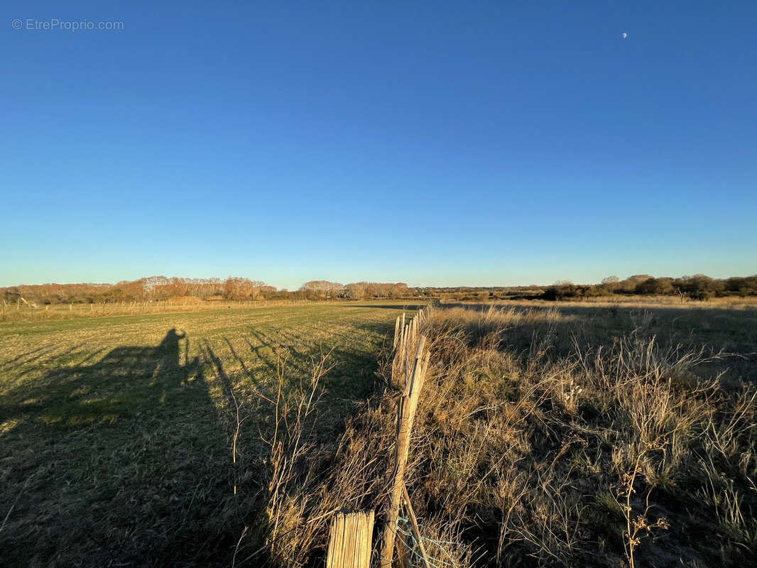 Terrain à AIMARGUES