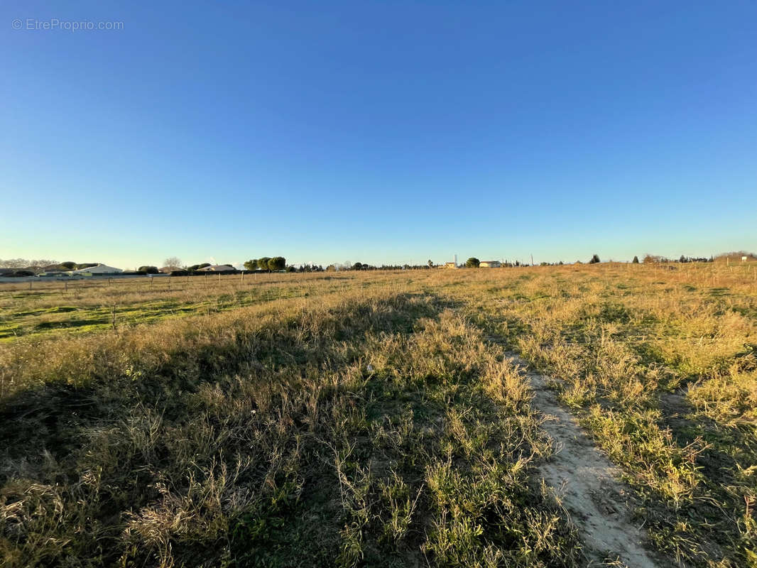 Terrain à AIMARGUES