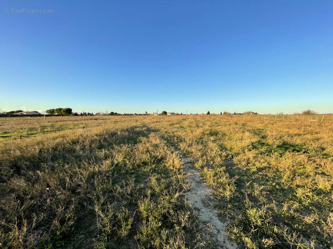 Terrain à MARSILLARGUES