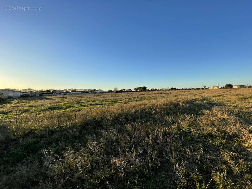 Terrain à MARSILLARGUES