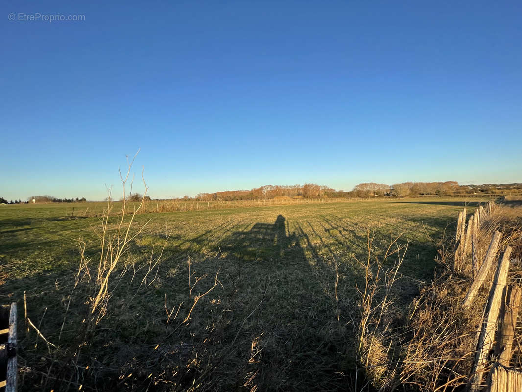 Terrain à MARSILLARGUES