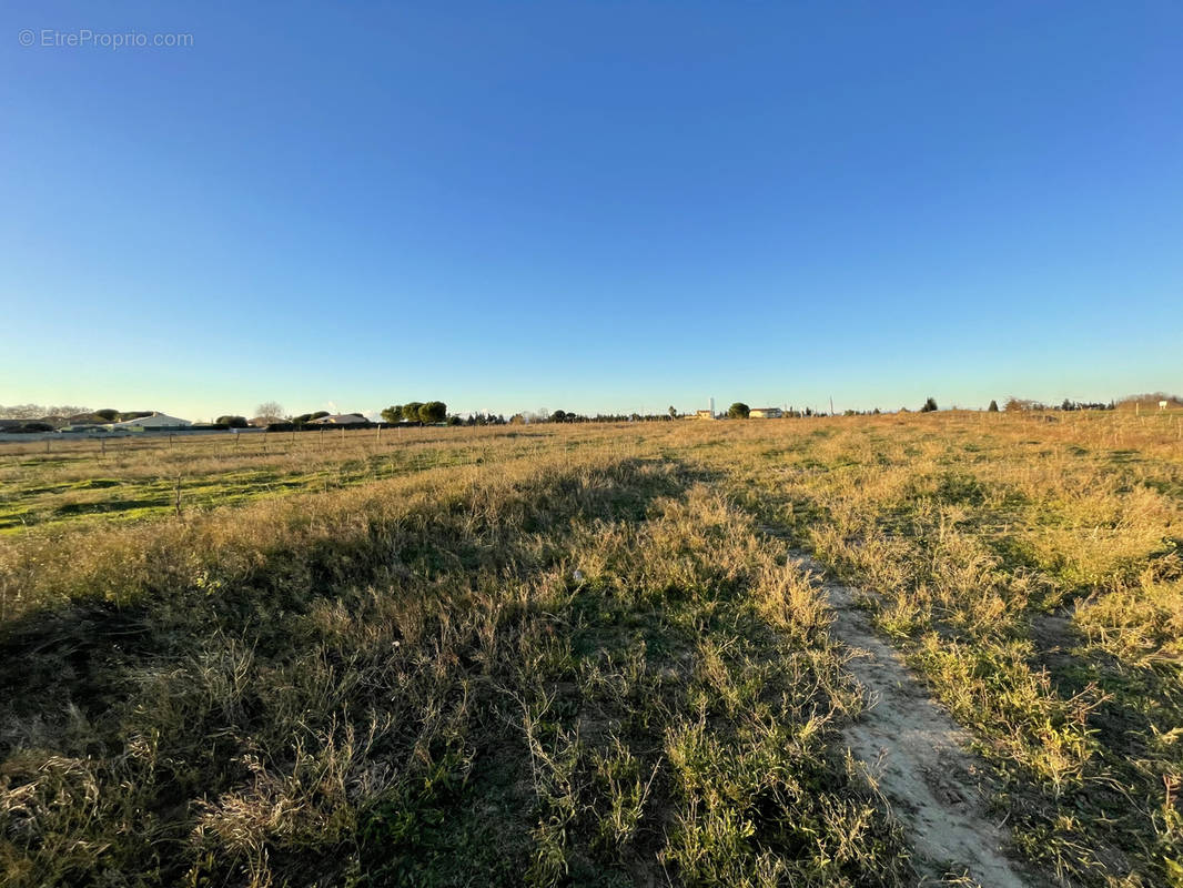 Terrain à MARSILLARGUES