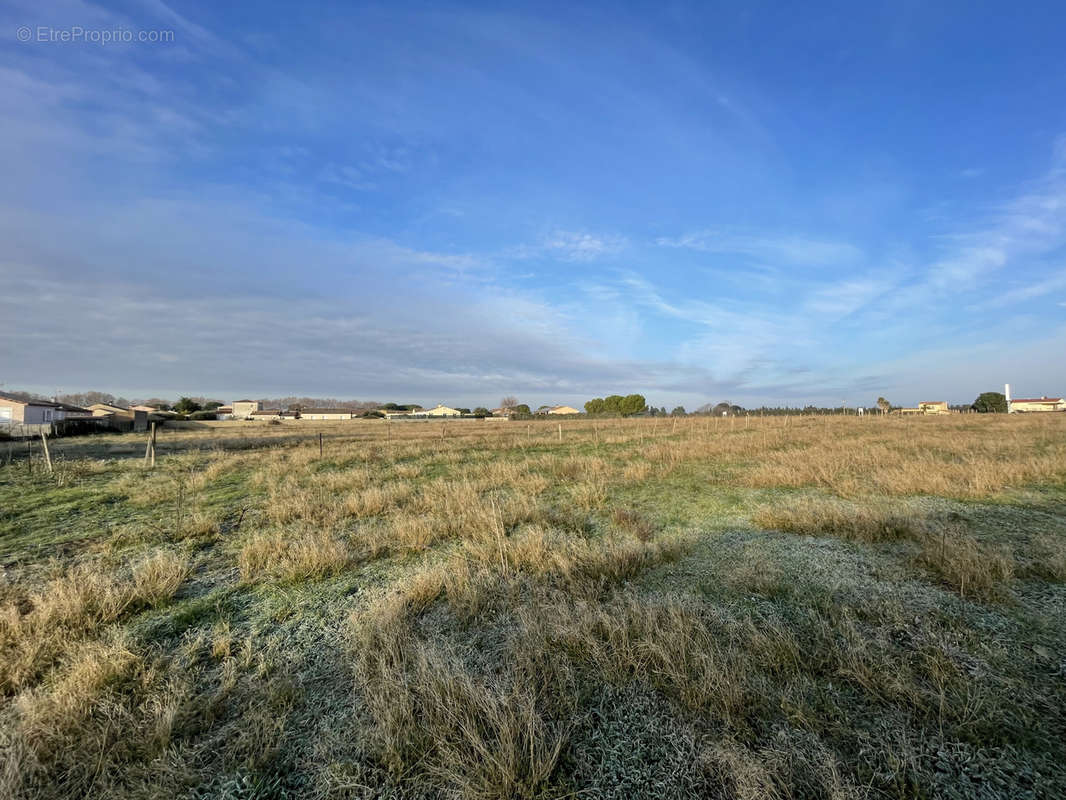 Terrain à AIMARGUES