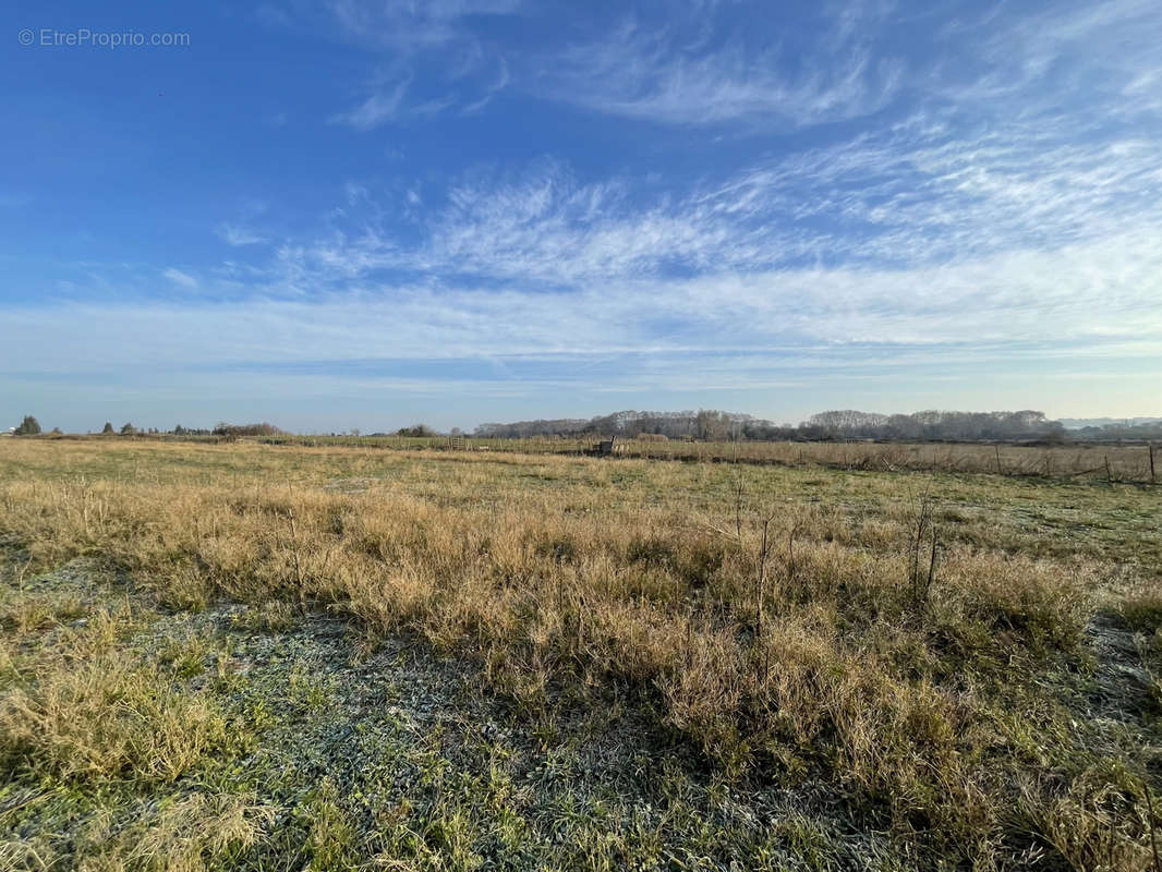 Terrain à AIMARGUES