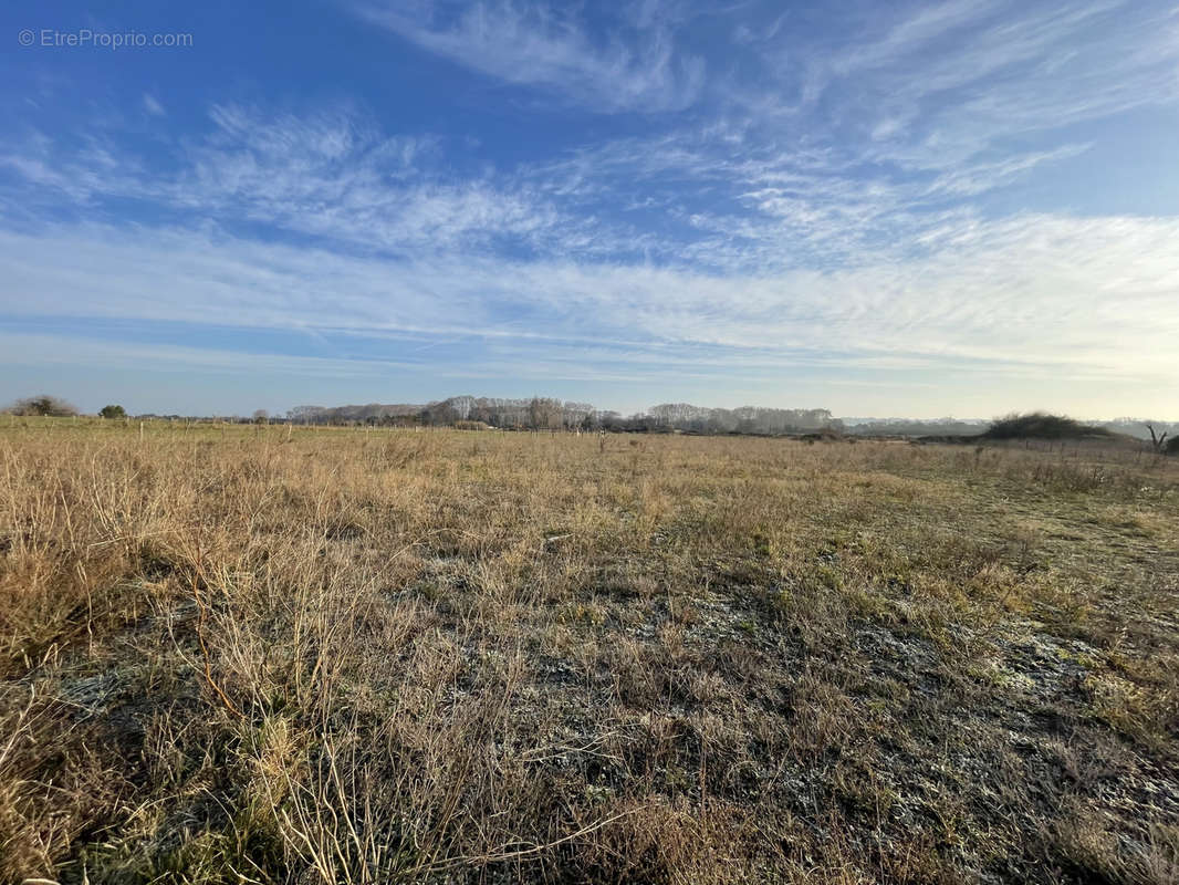 Terrain à AIMARGUES