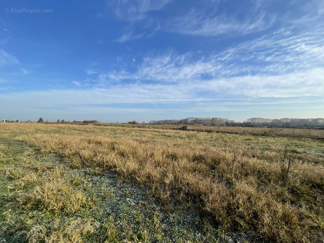 Terrain à AIMARGUES