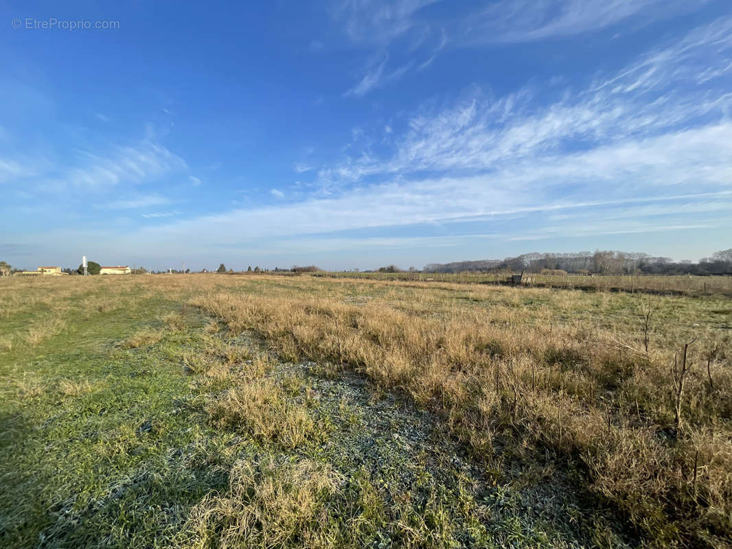 Terrain à AIMARGUES