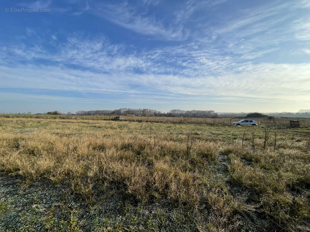 Terrain à AIMARGUES