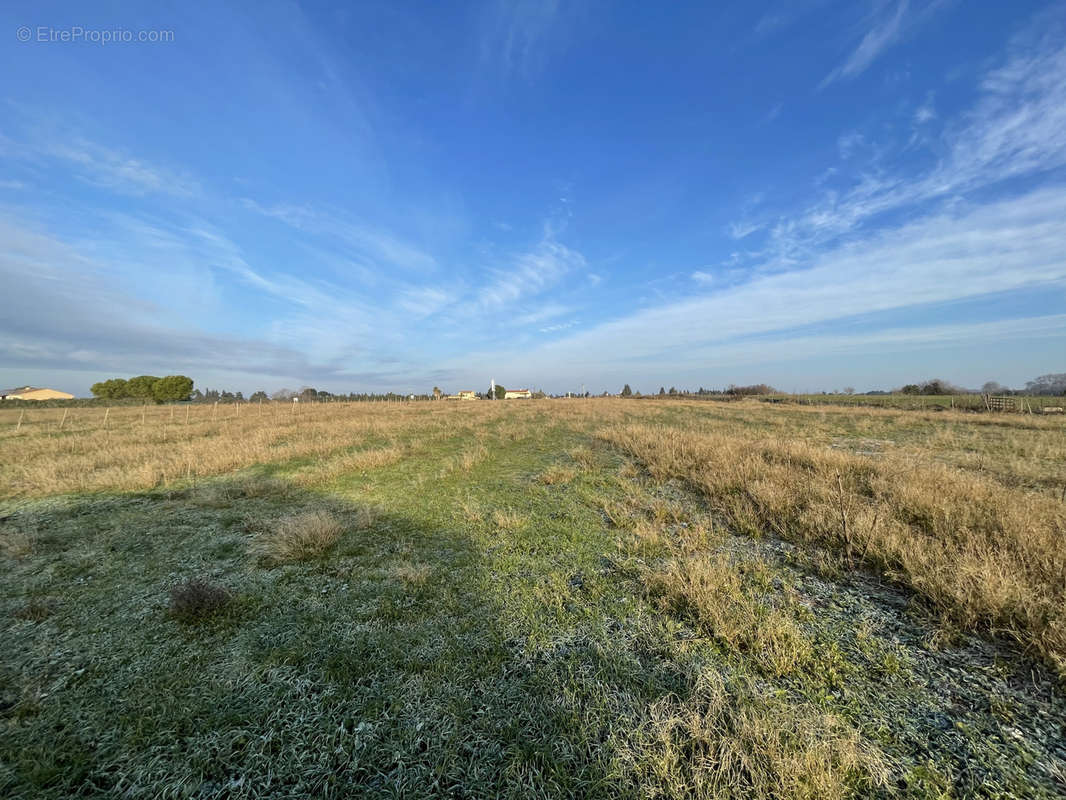 Terrain à AIMARGUES