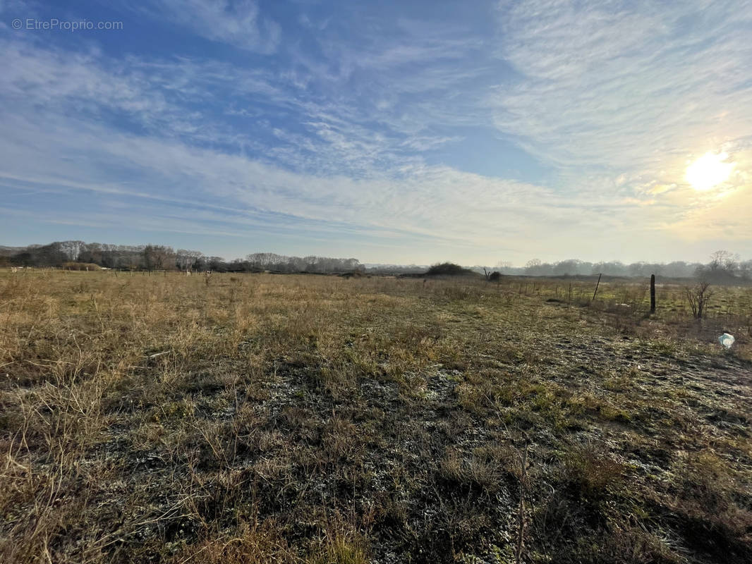 Terrain à AIMARGUES