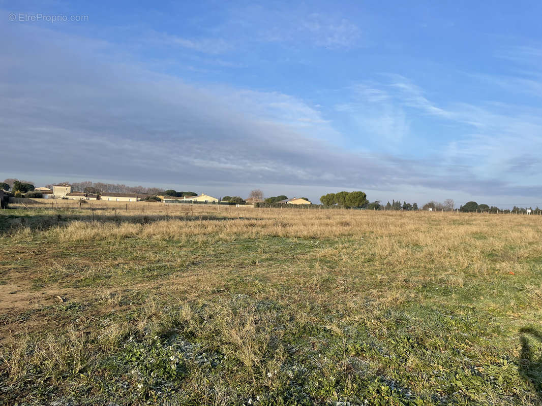 Terrain à MARSILLARGUES