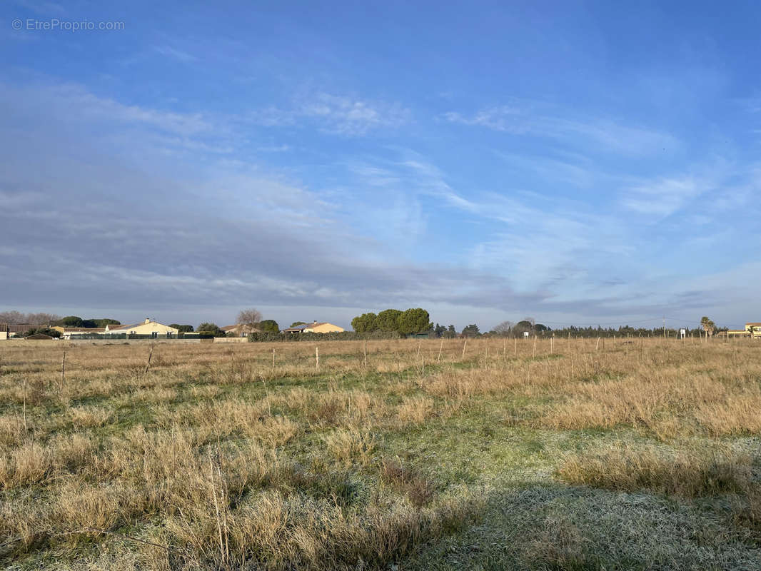 Terrain à MARSILLARGUES