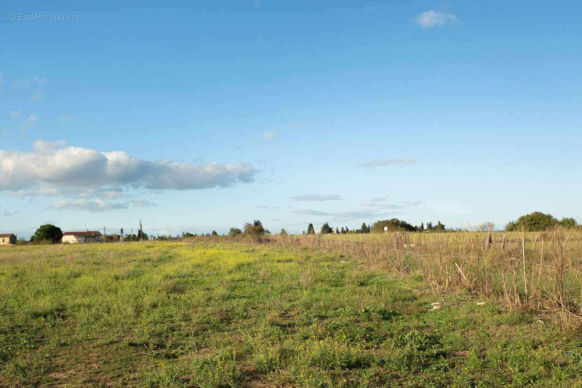 Terrain à MARSILLARGUES